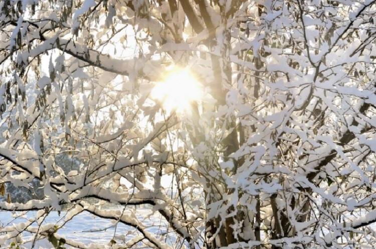 солнце светит зимой.jpg