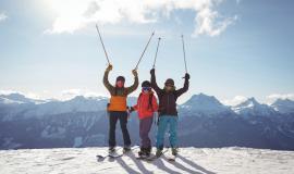 celebrating-skiers-standing-snow-covered-mountain_107420-96438.jpg