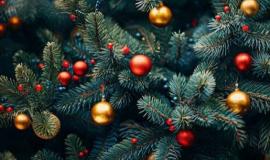 ель новогодняя.jpg