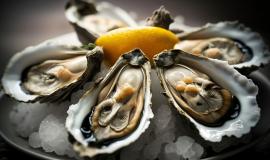 delicious-oysters-ice-arrangement_23-2150301975.jpg