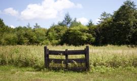 beautiful-shot-of-a-field-of-grasses-with-a-wooden-gate-surrounded-by-green-trees.jpg