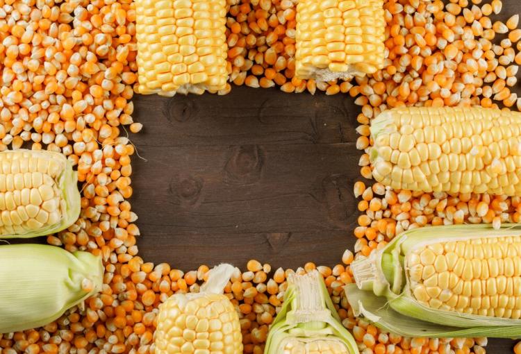 scattered-corn-grains-with-cobs-flat-lay-wooden-table_176474-5990.jpg