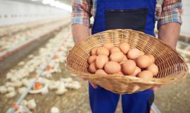 young-farmer-taking-care-his-business_329181-15950.jpg