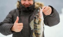 man-holding-victoriously-fish-he-caught_23-2148853202.jpg