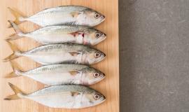 fresh-mackerel_1339-3347.jpg