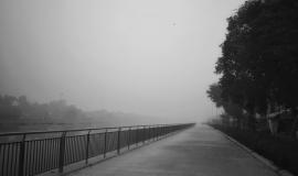 a-park-walkway-covered-in-fog.jpg