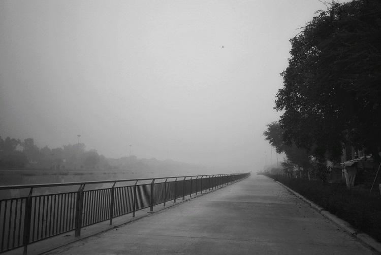 a-park-walkway-covered-in-fog.jpg