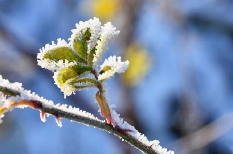Март в Приморье будет на 1-2 градуса теплее средних многолетних значений