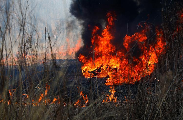 Пожароопасный сезон в Приморье начался раньше обычного: кто в этом виновен