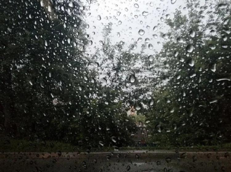 Снимок экрана_26-4-2024_12460_disk.yandex.ru.jpeg