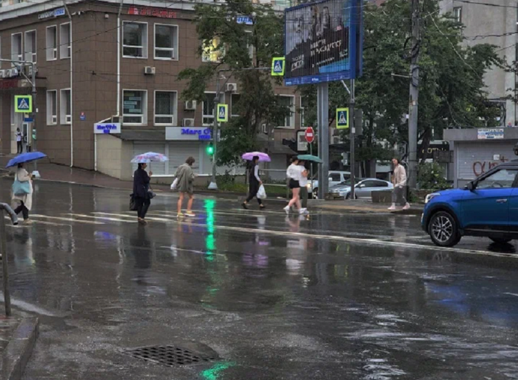 Главный синоптик Приморья назвал причину дождливого лета