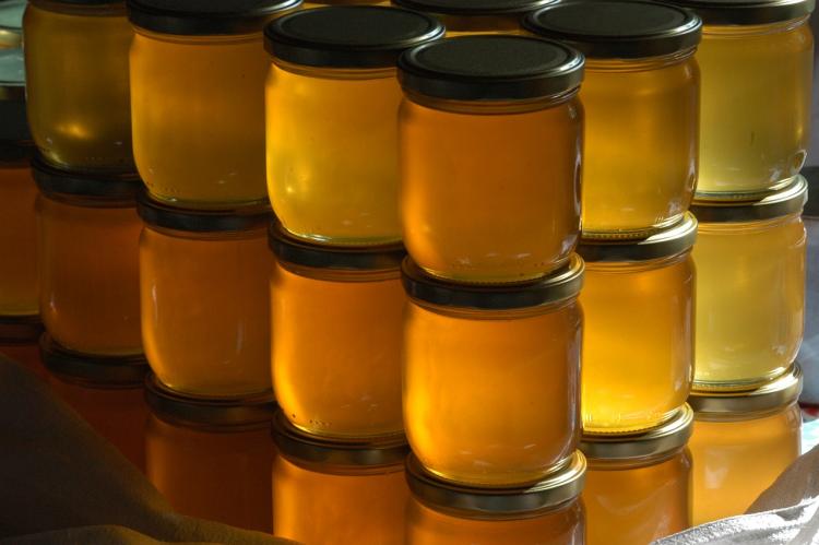 В приморской тайге собирают уникальный мед