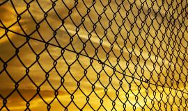 nature-branch-fence-sunset-night-texture-1253234-pxhere.com.jpg