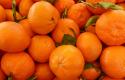 mandarins-890799_1280.jpg