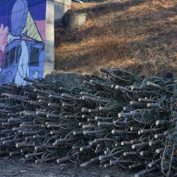 В этом году главный символ нового года можно приобрести по 13 адресам в разных районах города #1