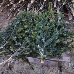 В этом году главный символ нового года можно приобрести по 13 адресам в разных районах города #2