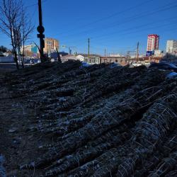 В этом году главный символ нового года можно приобрести по 13 адресам в разных районах города #3