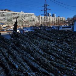 В этом году главный символ нового года можно приобрести по 13 адресам в разных районах города #4