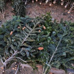 В этом году главный символ нового года можно приобрести по 13 адресам в разных районах города #7