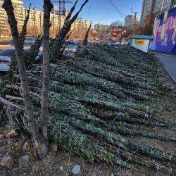 В этом году главный символ нового года можно приобрести по 13 адресам в разных районах города #8