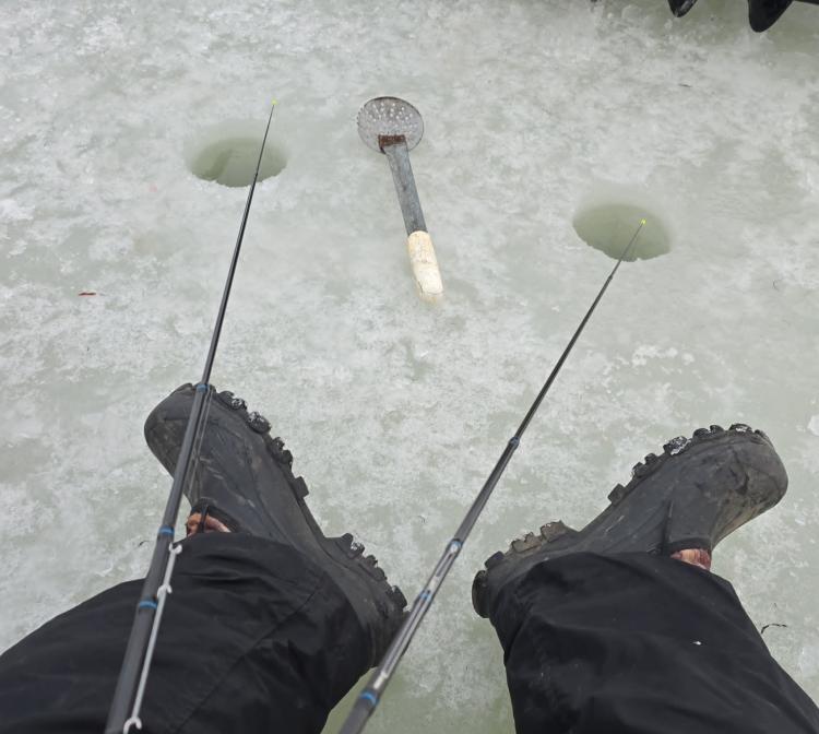 WhatsApp Image 2025-01-22 at 09.39.40.jpeg