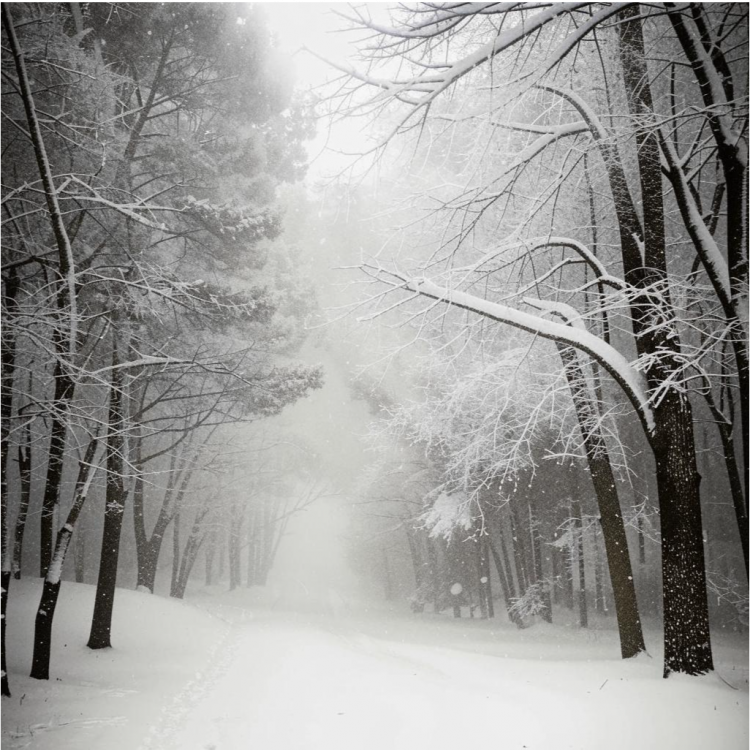 thumb_533440_news_xxxl (1).png