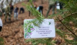 Безымянный.jpg