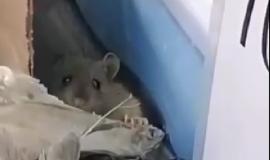 Снимок экрана 2025-01-27 133105.jpg