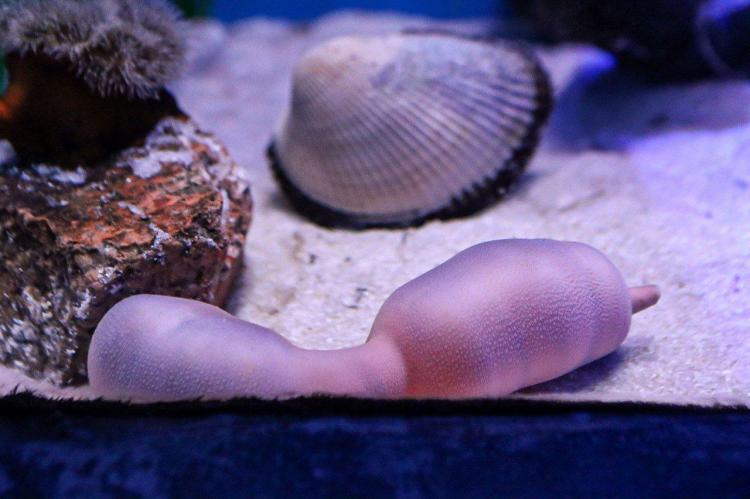 photo_2025-02-03_12-27-33 (3).jpg