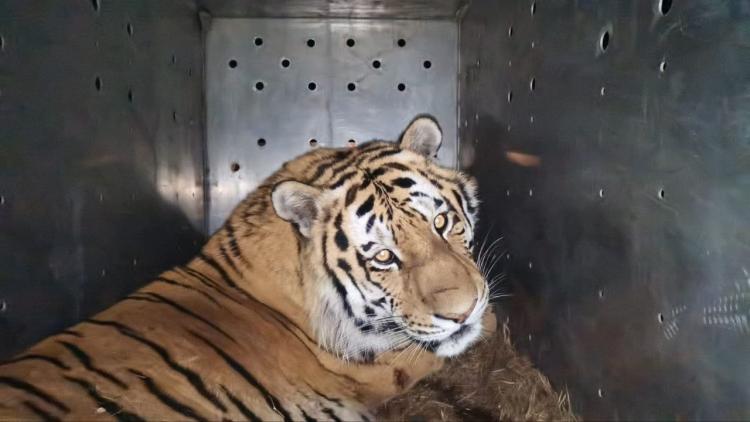 5292237932125613937 (1).jpg