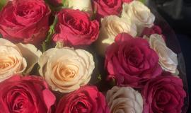 IMG_4639.jpeg