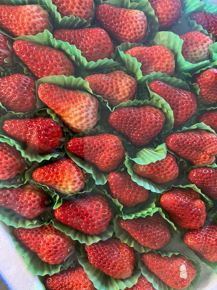 WhatsApp Image 2025-03-07 at 18.47.34.jpeg