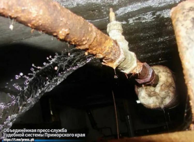 2025-03-12 10.18.19.jpg