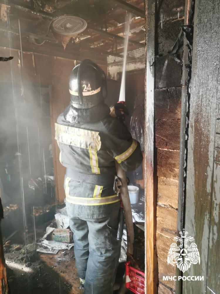 2025-04-12 09.20.25.jpg