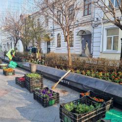 Первой локацией преображения стал цветник на улице Адмирала Фокина #1