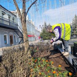 Первой локацией преображения стал цветник на улице Адмирала Фокина #2