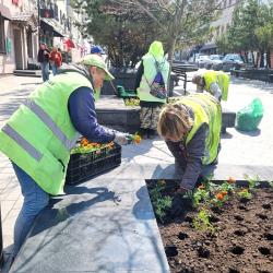 Первой локацией преображения стал цветник на улице Адмирала Фокина #3