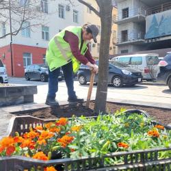 Первой локацией преображения стал цветник на улице Адмирала Фокина #4