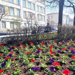 Первой локацией преображения стал цветник на улице Адмирала Фокина #5