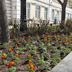 Первой локацией преображения стал цветник на улице Адмирала Фокина #8