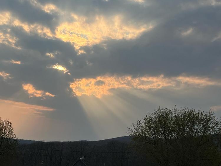 WhatsApp Image 2025-04-27 at 18.59.11.jpeg