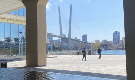 IMG_2978.jpeg