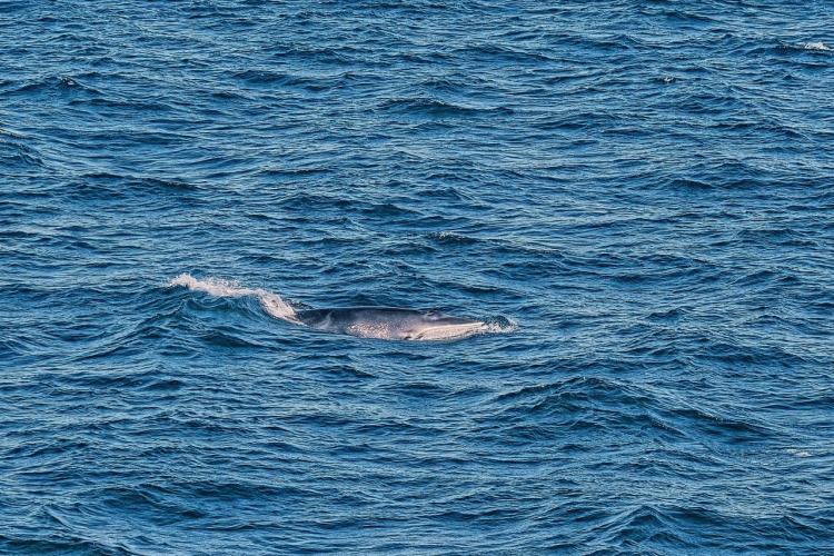 2025-04-30 09.13.45.jpg