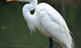 IMG_3045.jpeg