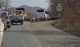 Безымянный.jpg
