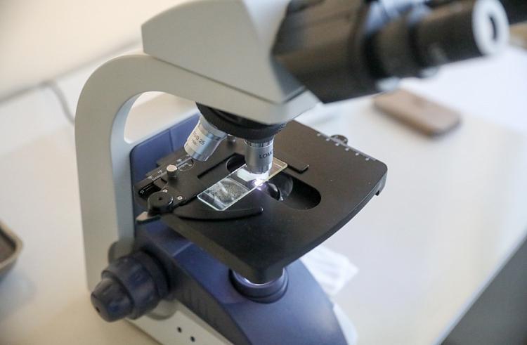 thumb_539864_news_xxxl (1).jpeg