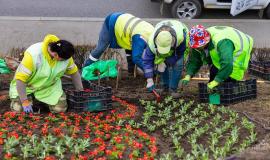 2025-05-07 11.27.58.jpg