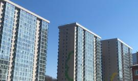 IMG_3751.jpeg