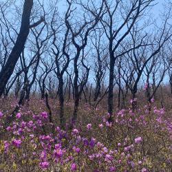 Эксперт рассказала, что нужно знать об этом популярном декоративном растении #1