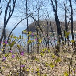 Эксперт рассказала, что нужно знать об этом популярном декоративном растении #7